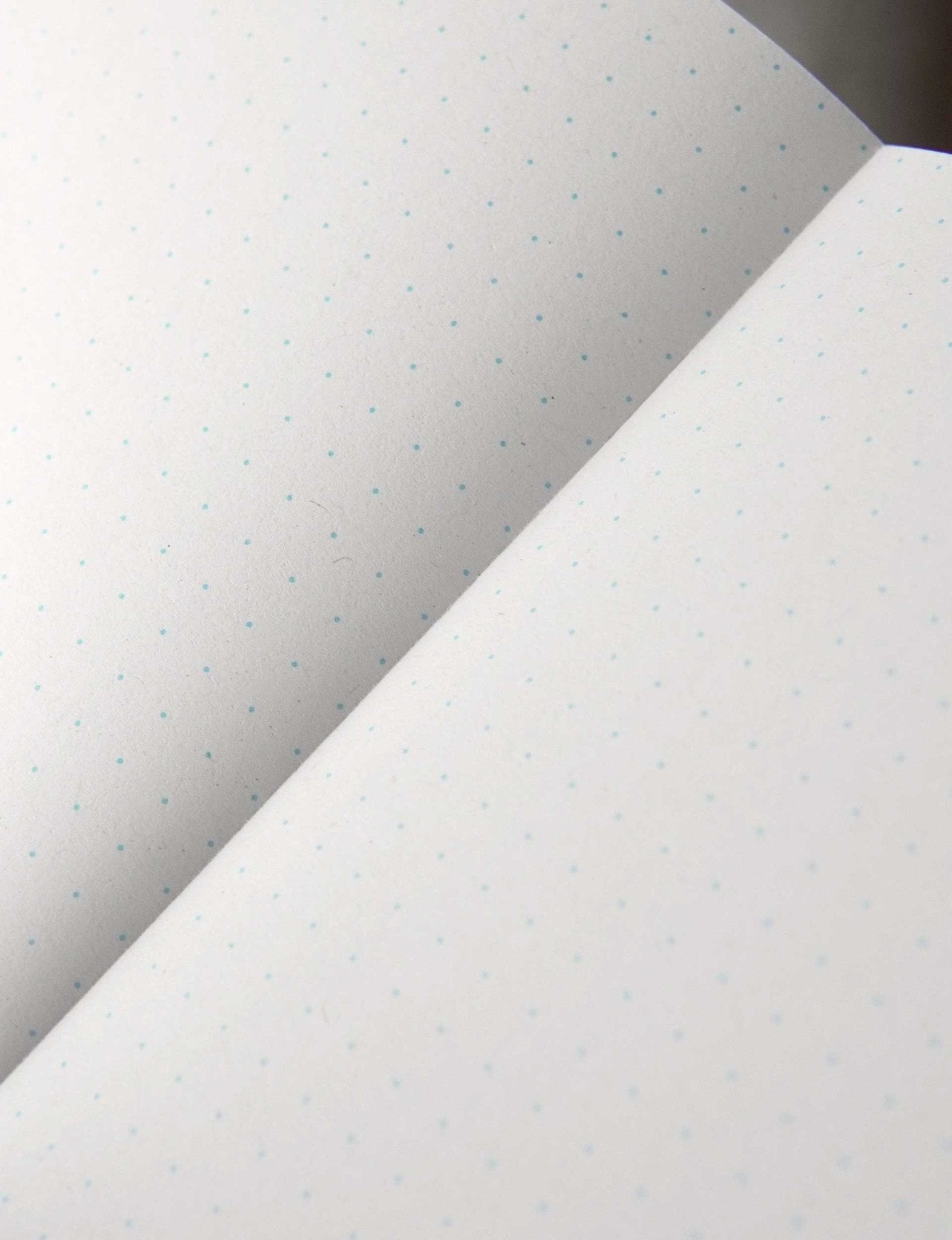 Odd Goose Odd Notes Classic Pocket Notebook - London Workshop