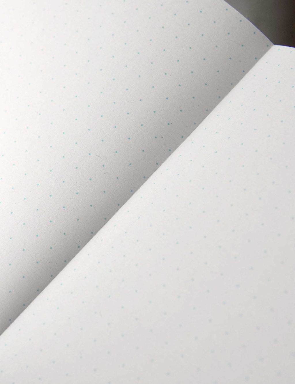 Odd Goose Odd Notes Classic Pocket Notebook