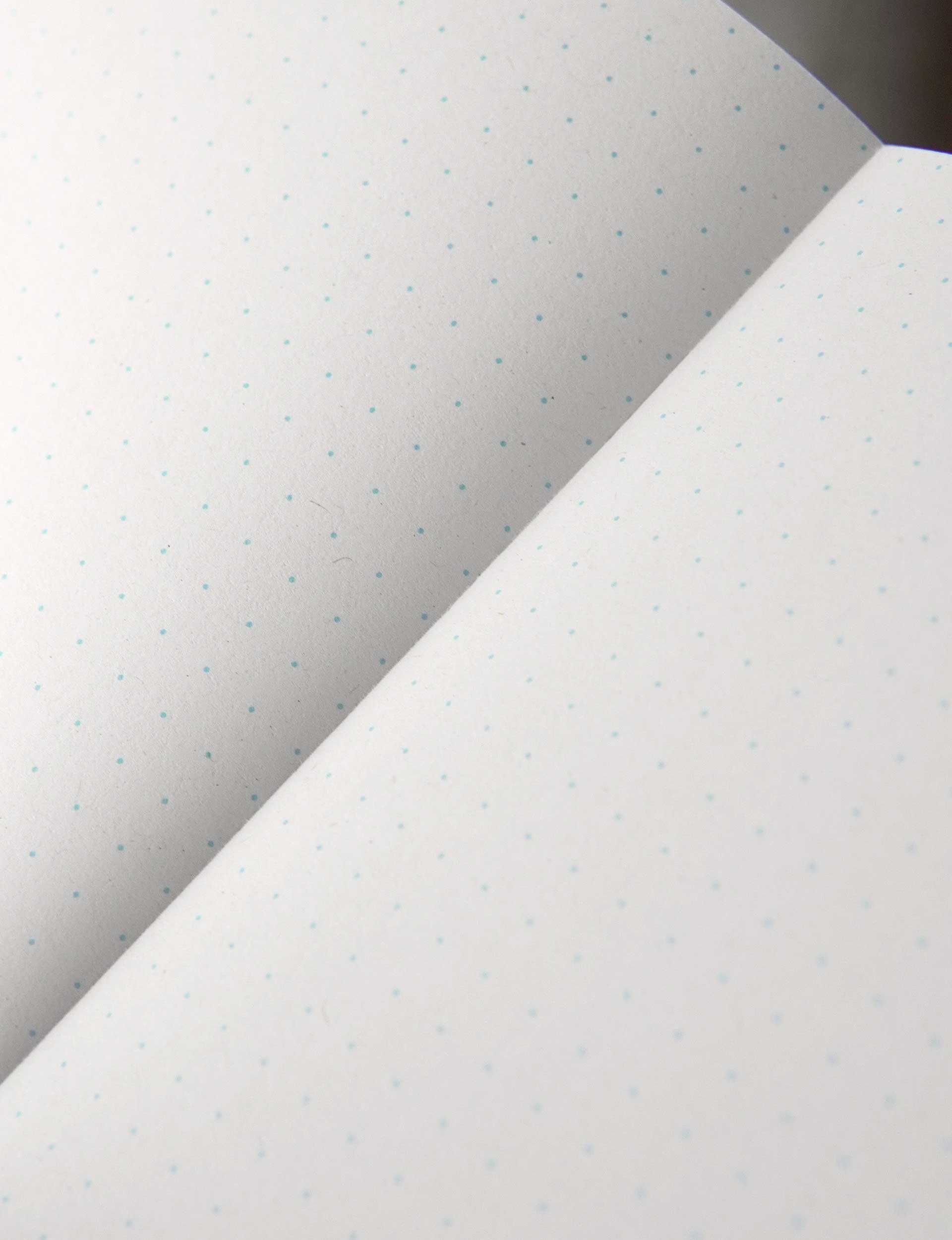 Odd Goose Odd Notes Classic Pocket Notebook